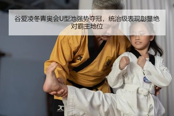gu-ai-ling-dong-qing-ao-hui-xing-chi-qiang-shi-duo-guan-tong-zhi-ji-biao-xian-zhang-xian-jue-dui-ba-zhu-di-wei-2-311.jpg